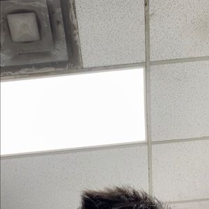 Meet your Posher, Bryan